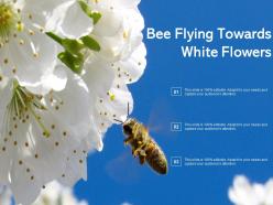 Bee flying towards white flowers