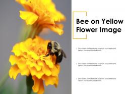 Bee on yellow flower image
