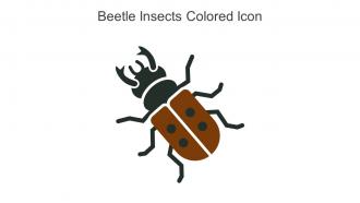 Beetle Insects Colored Icon In Powerpoint Pptx Png And Editable Eps Format