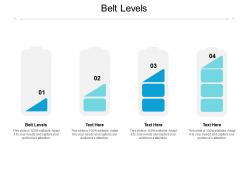 Belt levels ppt powerpoint presentation pictures graphics cpb