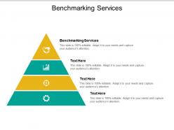 Benchmarking services ppt powerpoint presentation gallery example introduction cpb