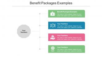 Benefit Packages Examples Ppt PowerPoint Presentation Inspiration Graphics Cpb