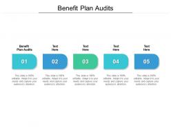 Benefit plan audits ppt powerpoint presentation ideas deck cpb