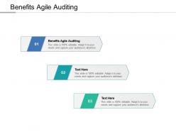 Benefits agile auditing ppt powerpoint presentation infographic template show cpb
