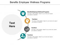 Benefits employee wellness programs ppt powerpoint presentation styles vector cpb
