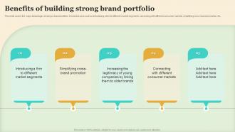 Benefits Of Building Strong Brand Portfolio Making Brand Portfolio Work