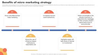 Benefits Of Micro Marketing Strategy Types Of Target Marketing Strategies