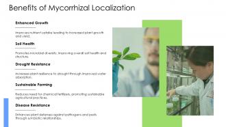 Benefits Of Mycorrhizal Localization PPT Structure ACP