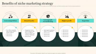 Benefits Of Niche Marketing Strategy Marketing Strategies To Grow Your Audience