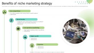 Benefits Of Niche Marketing Strategy Selecting Target Markets And Target Market Strategies