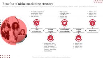 Benefits Of Niche Marketing Strategy Target Market Definition Examples Strategies And Analysis