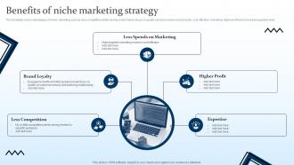 Benefits Of Niche Marketing Strategy Targeting Strategies And The Marketing Mix