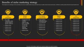 Benefits Of Niche Marketing Strategy Top 5 Target Marketing Strategies You Need Strategy SS