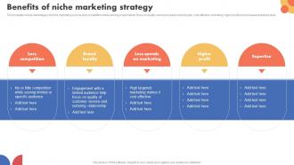 Benefits Of Niche Marketing Strategy Types Of Target Marketing Strategies