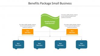 Benefits package small business ppt powerpoint presentation outline aids cpb