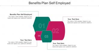 Benefits Plan Self Employed Ppt Powerpoint Presentation Pictures Demonstration Cpb