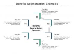Benefits segmentation examples ppt powerpoint presentation pictures graphics template cpb