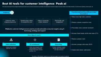 Best AI Tools For Customer Intelligence Peak Ai Ai Powered Marketing How To Achieve Better AI SS