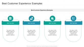 Best Customer Experience Examples In Powerpoint And Google Slides Cpb