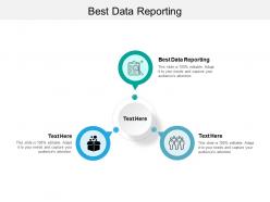 Best data reporting ppt powerpoint presentation file elements cpb