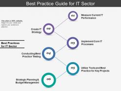 Best Practice Guide For It Sector