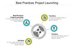 Best practices project launching ppt powerpoint presentation professional elements cpb