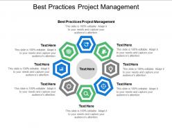 Best practices project management ppt powerpoint presentation summary design ideas cpb