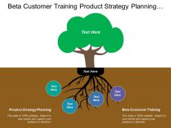 Beta customer training product strategy planning initiate demo