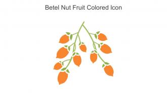 Betel Nut Fruit Colored Icon In Powerpoint Pptx Png And Editable Eps Format