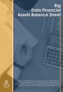 Bi fold big data financial assets balance sheet document report pdf ppt template