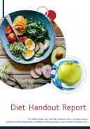 Bi fold diet handout document report pdf ppt template