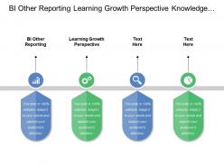 Bi other reporting learning growth perspective knowledge retention