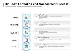Bid team formation and management process