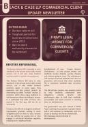 Bifold Law Firm Newsletter Presentation Report Infographic Ppt Pdf Document