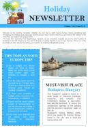 Bifold One Page Holiday Newsletter Presentation Report Infographic Ppt Pdf Document