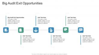 Big Audit Exit Opportunities In Powerpoint And Google Slides Cpb