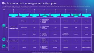 Big Business Data Management Action Plan