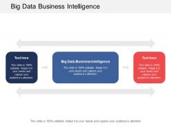 Big data business intelligence ppt powerpoint presentation gallery background images cpb