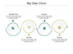 Big data cloud ppt powerpoint presentation professional template cpb