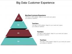 Big data customer experience ppt powerpoint presentation summary graphics cpb