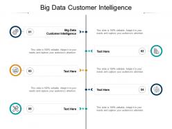 Big data customer intelligence ppt powerpoint presentation gallery show cpb
