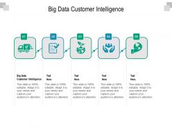 Big data customer intelligence ppt powerpoint presentation templates cpb