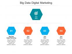 Big data digital marketing ppt powerpoint presentation pictures designs cpb