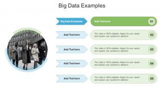 Big Data Examples In Powerpoint And Google Slides Cpb