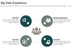 Big data experience ppt powerpoint presentation pictures demonstration cpb