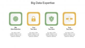 Big Data Expertise Ppt Powerpoint Presentation File Shapes Cpb