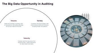 Big Data In Auditing PPT Sample VA Pre designed Ideas