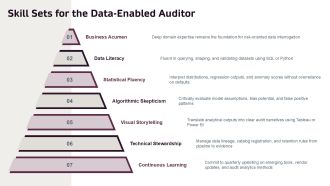 Big Data In Auditing PPT Sample VA Customizable Image
