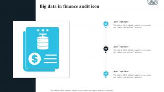 Big Data In Finance Audit Icon
