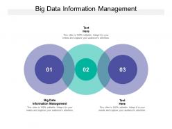 Big data information management ppt powerpoint presentation model pictures cpb